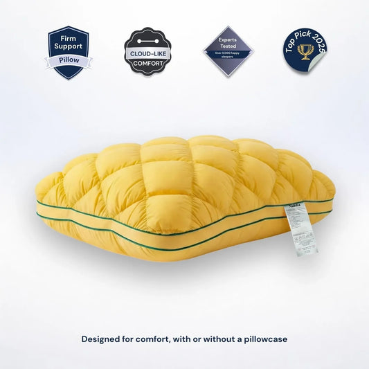 booklqp Pineapple Cloud-Like Pillow